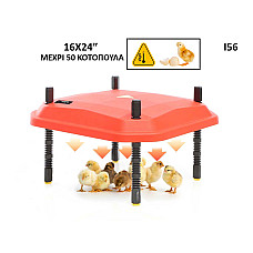 Αυτόματη θέρμανση για κοτόπουλα με έλεγχο LED για έως και 50 κοτόπουλα - I56